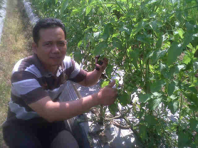 Narsis Dgn Tomasnya