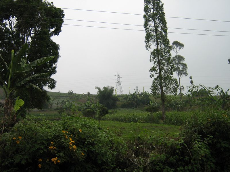 Img 0120