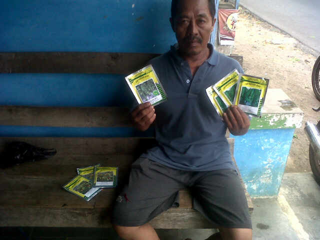 (y)(y) (y) Pk.Hj Soekarni Petani Setia MB Tanam Seta Super 3pek&coba Bandingkan Calista Vs Sample Calia...