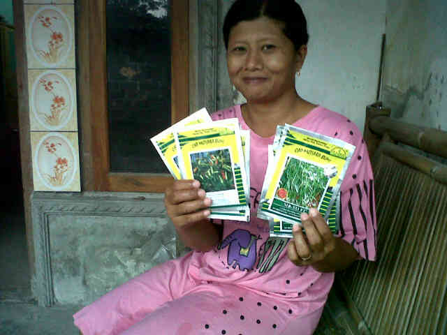 Sore2 Mbak Herni Habis Mandii ,, Siap Semai 4 Rawit Setan Super & Ck MB 3pek. Ptani Widomartani