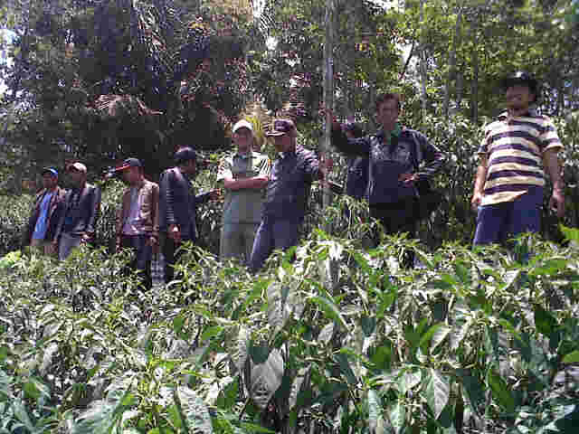 Acara Study Banding Sari F1 Di Cigalontang.