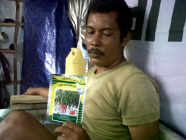 Bos Jajang C Murah Tertarik Dngan Sari F1