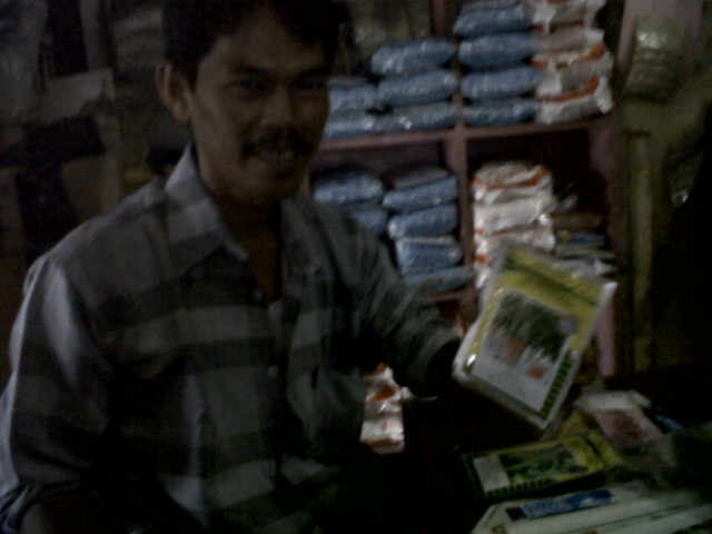 Kang Uloh Beli Alicia 15 Pack Ntar Beli Sari Udah Panen Timun