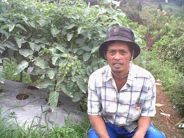 Kang Wawan Wrg Tepus Tnm Iontin 20rb Phn, Tumpang Sari Sm MB 333 15rb Phn