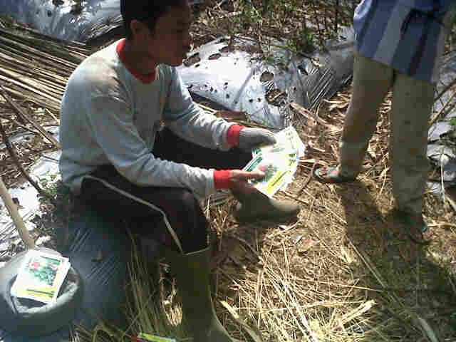 Mang Neneng Nyoba Sari 9 Pcs Bln Dpn Dipaksa Tanam Ayunda