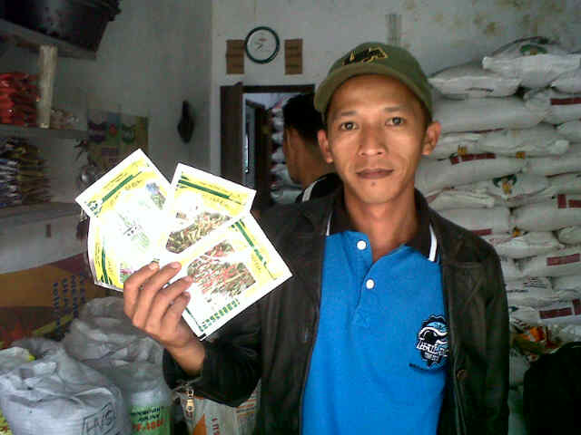 Alhamdulilah Pak Rezi Skarang Nanam Produck PAM, Panjalu 5 Pac,seta Super 10 Pac,sri Tanjung 5 Pac,andalas.5 Pac,purbaya 5 Pac.