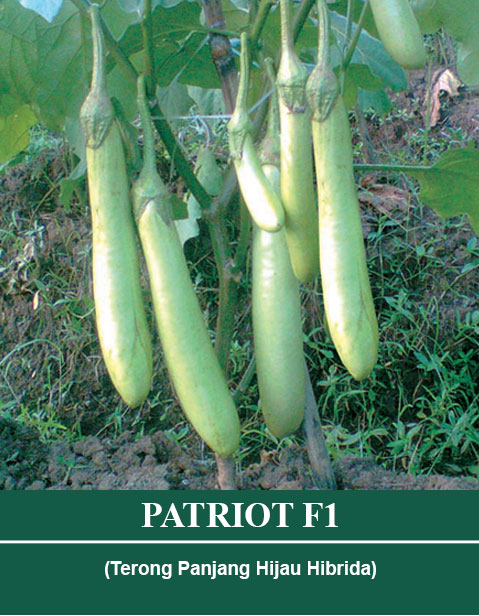 Benih PATRIOT Mutiara Bumi