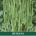 Kacang Panjang RUMANA